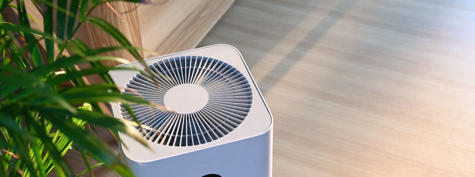 UV Air Purifier