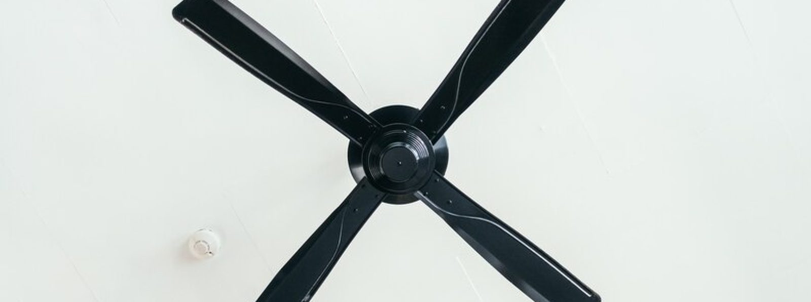 ceiling fan